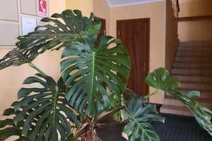 Александрия 9