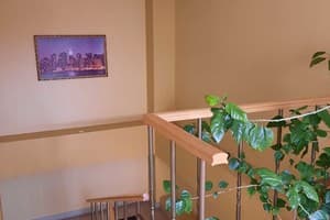 Александрия 20