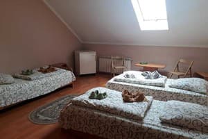 Отель Аполлон. Стандарт 4-местный  1