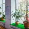 Avino Apart Hotel 16-17/21