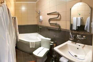 Отель Айвенго. Люкс двухместный (улучшенный) +2 2