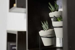 Babylon Apartments On Chornovola 6