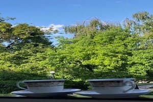 Babylon Apartments On Maidan 7 15