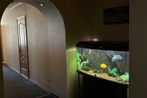 Белый рояль 5