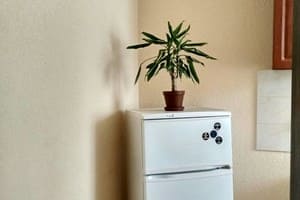 Береговская 3а/кв.3 1