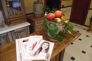 Быстрица Люкс 45