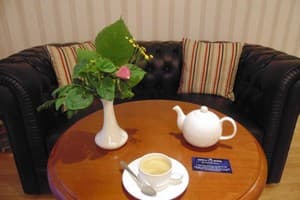 Быстрица Люкс 48