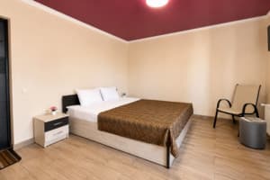 Готель Bloom Hotel. Стандарт двомісний double 3