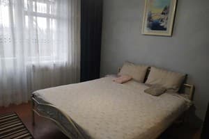 Двухкомнатная в центральном районе 1