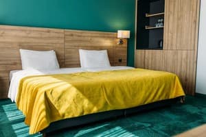 Отель Favor Park Hotel. Бизнес одноместный  2