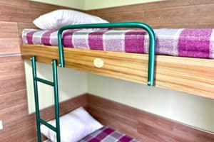 Файна Птиця 2