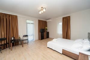 Отель Fusion. Люкс двухместный с балконом 3