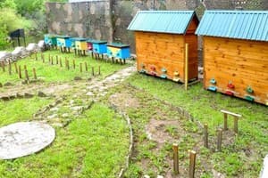 Перлина Поділля 4