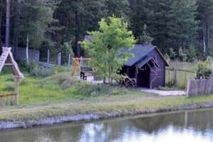 Кот Баюн и Кривенькая уточка 8