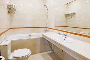 Готель Lavina Park Hotel. Класік   4