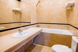 Готель Lavina Park Hotel. Класік   7
