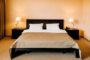 Готель Lavina Park Hotel. Комфорт  з терасою 3