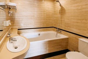 Готель Lavina Park Hotel. Напівлюкс двомісний  5
