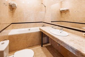 Готель Lavina Park Hotel. Стандарт двомісний  4