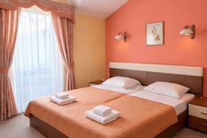 Отель Леотель. Стандарт двухместный  10