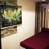 Мини-отель Mamba Hotel. №5 Двухкомнатный номер с джакузи и кинотеатром – в укрытии 14