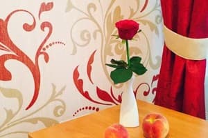 Отель Марічка. Стандарт двухместный Twin 7