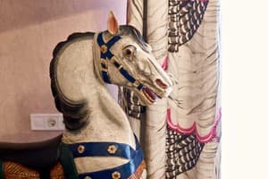 Апарт-отель Mola Mola Apart Hotel. Улучшенный двухместный (Карусель) 5