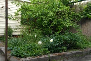 Моя зупиночка 15