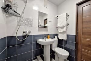 Напротив театра им.Гоголя (Alex Apartments (бесконтактное поселение 24/7) 3