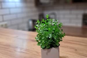 New studio apartments in center 9