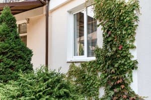 Нота Бене 23