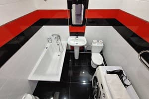 Однокомнатная с 2 кроватями, ванной и кондиционером. Alex Apartments 13