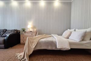 Однокомнатная с 2 кроватями, ванной и кондиционером. Alex Apartments 10