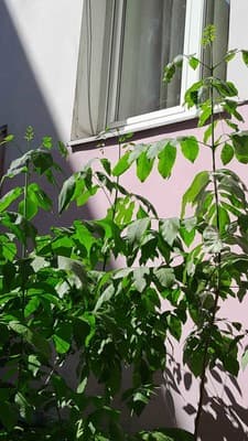 Однокомнатная ул.Городоцкая 53 6