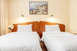 Отель Печерский. Стандарт двухместный стандарт с раздельными кроватьями 3