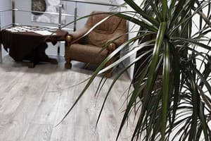 Під явором NEW 1