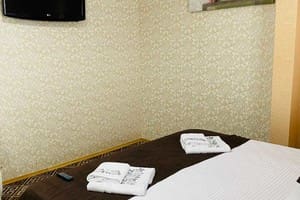 Під явором NEW 2