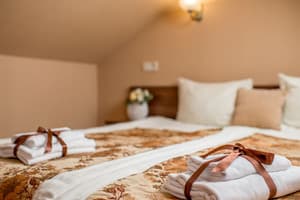 Отель Писанка Hotel & SPA. Полулюкс 4-местный однокомнатный 33 кв.м. 3