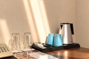 Готель Писанка Hotel & SPA. Стандарт двомісний з даховим вікном 4