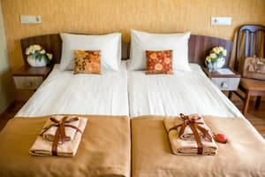 Отель Писанка Hotel & SPA. Стандарт двухместный с раздельными кроватями и балконом 2