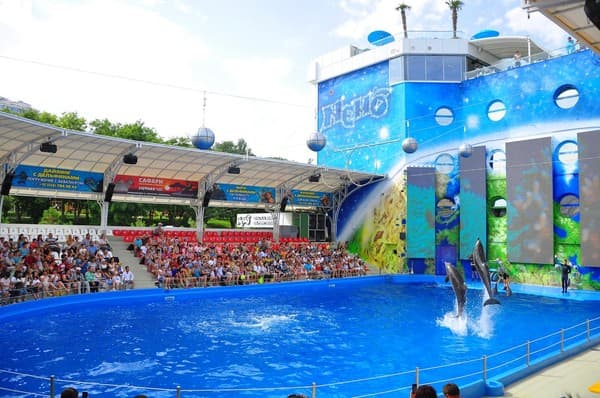 Resort & Spa Hotel NEMO 58