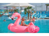 Resort & Spa Hotel NEMO 61