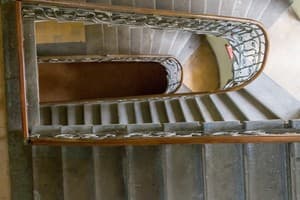 Сердце Льва (Lion's Heart) 3