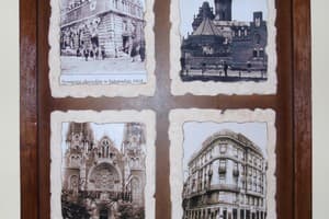 Сердце Льва (Lion's Heart) 15