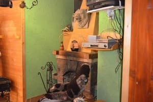 У Цимбора 6