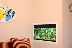 Весела Бджілка 8