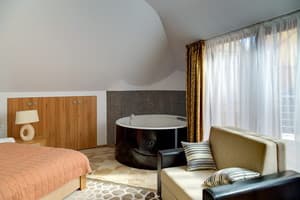 Апарт-готель Villa Georg. Люкс двомісний преміум 4