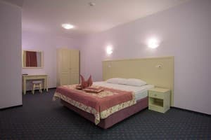 Спа-отель VitaPark Солнечный Прованс. Супериор двухместный Double 1