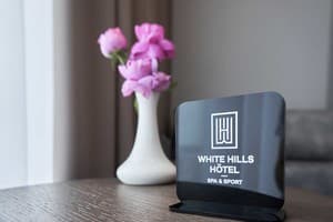 Отель White hills hotel spa&sport. Люкс двухместный  11