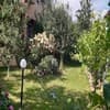 Злотория 12-13/13